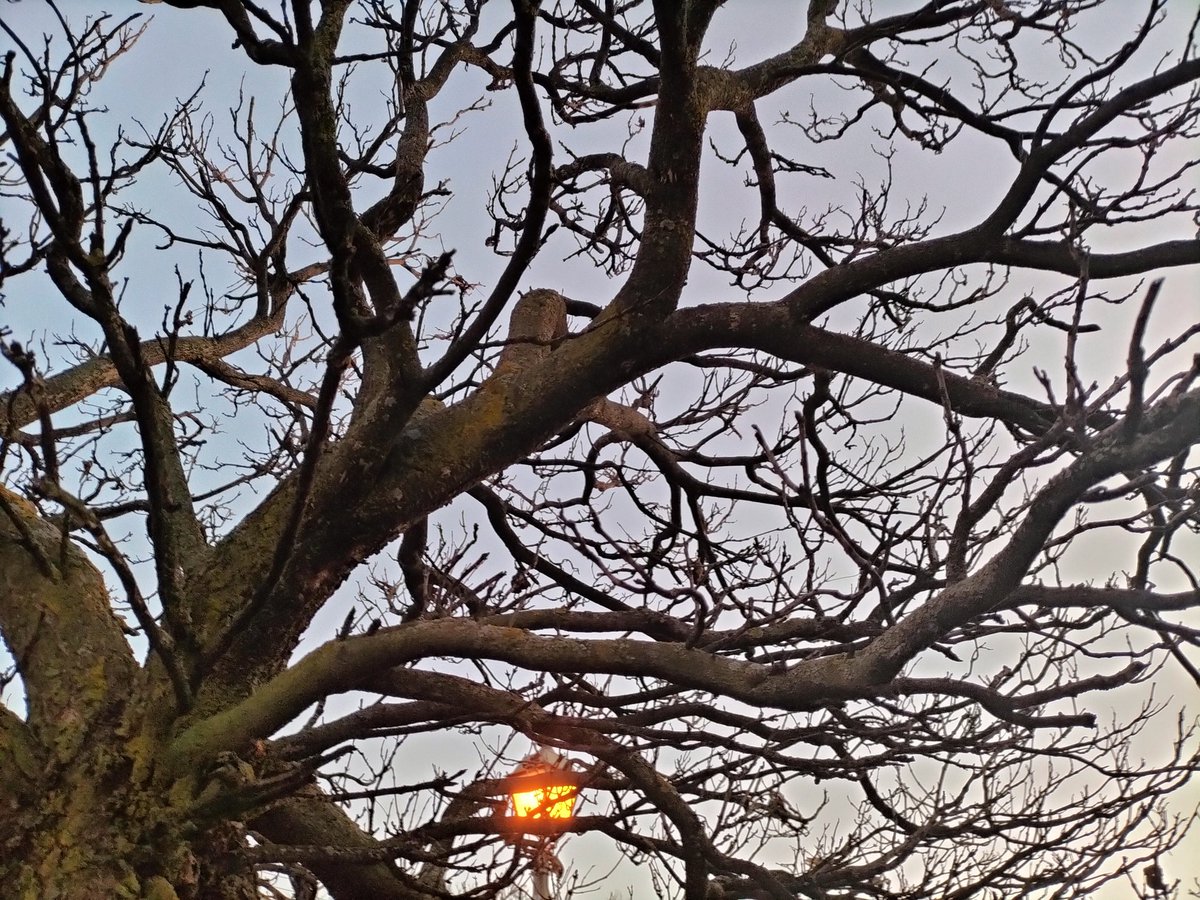 Comienzo a compartir un ejercicio diario de autodefensa: 
Búsqueda de La Belleza del día