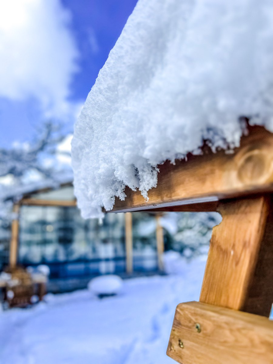 boluwild's tweet photo. 📍Bolu

Karlar altında bir masal diyarı! Bolu Wild’da kışın büyüsünü keşfetmeye davetlisiniz. ❄️ https://t.co/5VhKlmEl34