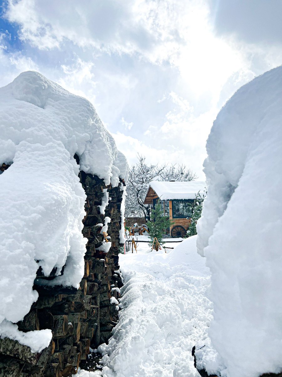 boluwild's tweet photo. 📍Bolu

Karlar altında bir masal diyarı! Bolu Wild’da kışın büyüsünü keşfetmeye davetlisiniz. ❄️ https://t.co/5VhKlmEl34