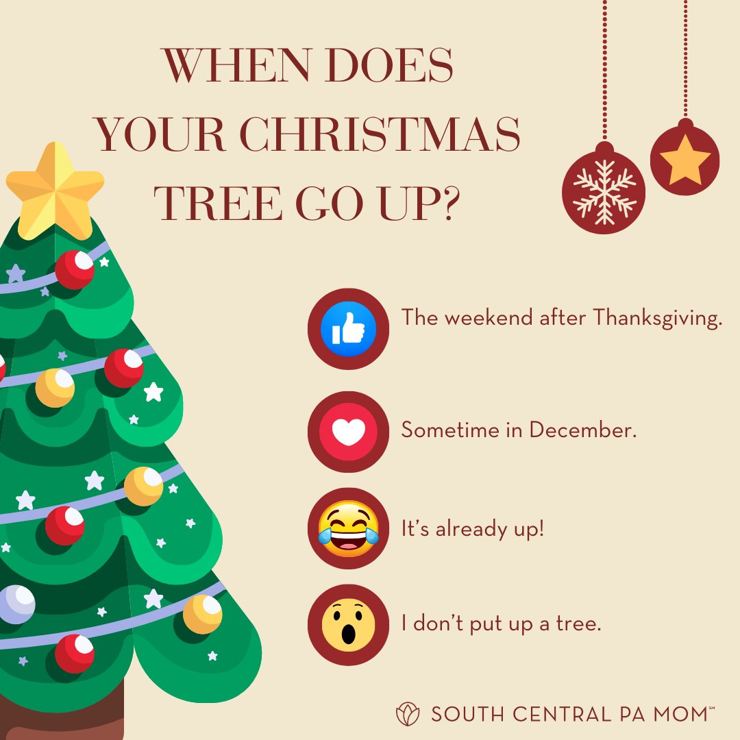 South Central PA Mom tweet media