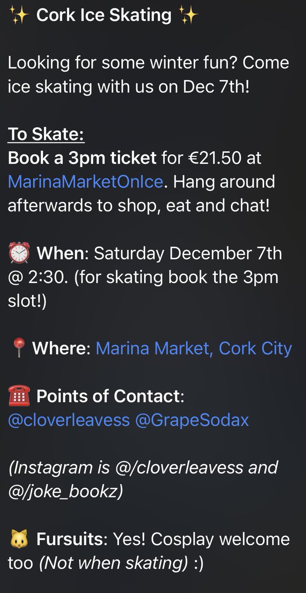Ice Skating meet in Cork City! ⛸️ ❄️