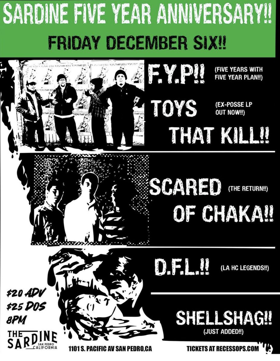 shellshag tweet media