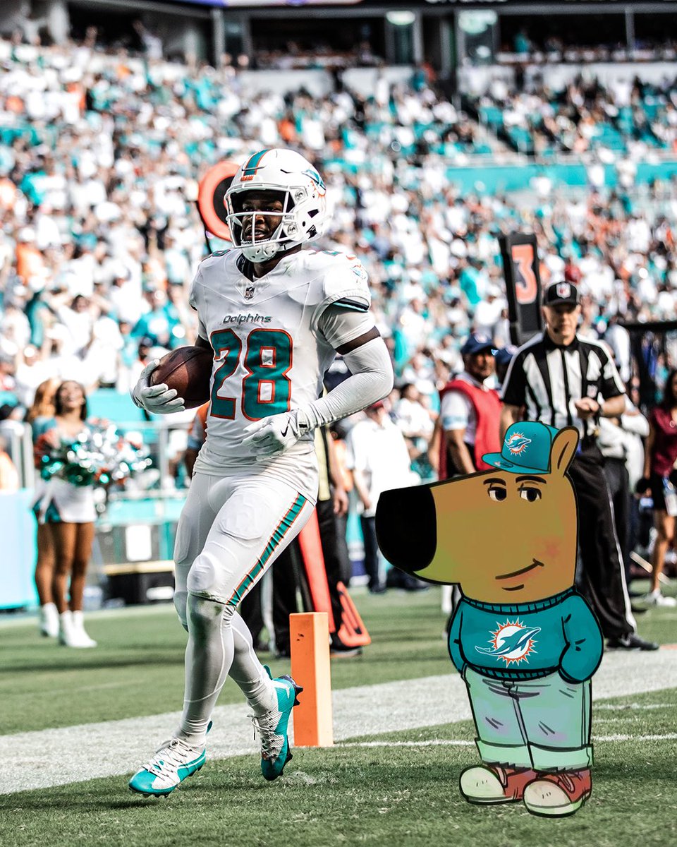 MiamiDolphins's tweet photo. Just two chill guys in the end zone https://t.co/QJKcGL80rn