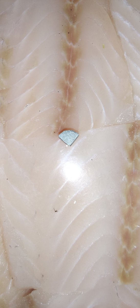 Hallo X, heute vor einer Woche haben wir unser Glück verloren, heute haben wir was gefunden, SUPERHERO wir sind wieder glücklich, Dank dem Lachs 🦸