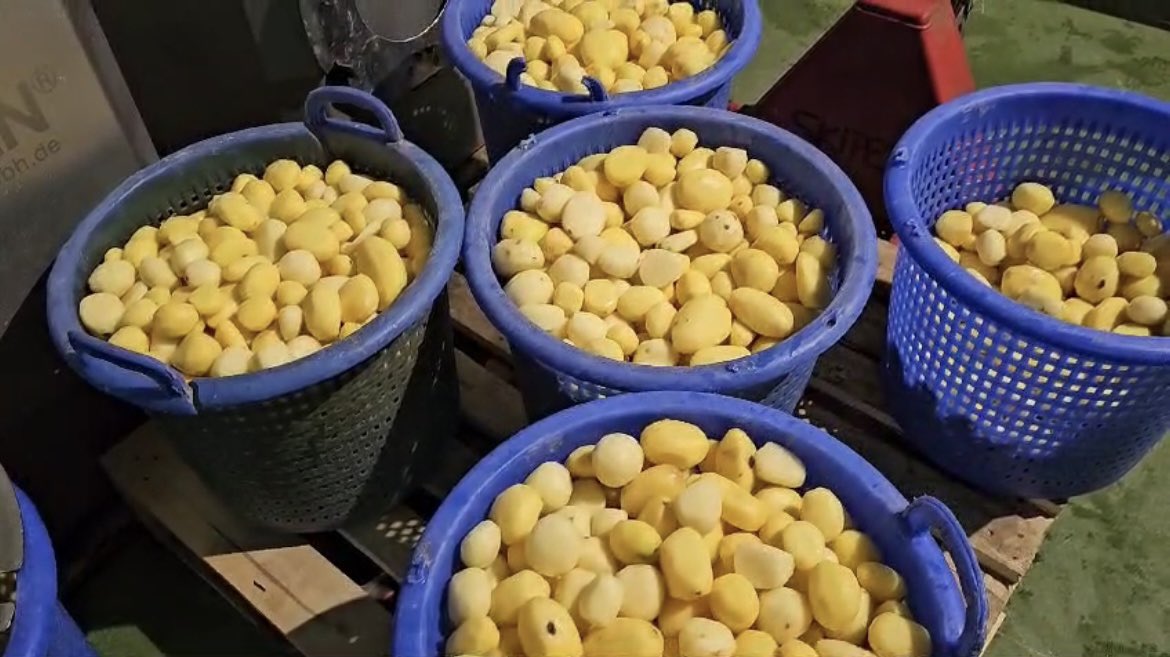 AgriKyiv's tweet photo. Last week we visited Sergiy ourselves. The company managed to largely de-mine its agricultural land for 🥔 &amp;  🥕. With support of 🇳🇱 @RVO_Int_Ond , a new processing line was installed as demo project. The energy to keep going is impressive #resilience #foodsecurity 🇺🇦 2/2 https://t.co/LJECkzQovO