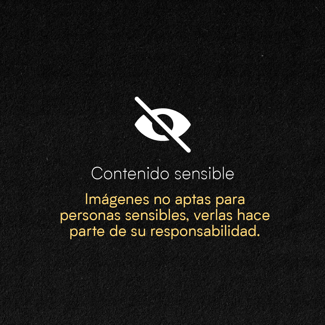 ideaspaz's tweet photo. 🦋#LibresySeguras | En el Día Internacional contra todo tipo de Violencias hacia las Mujeres #25N, nos unimos a la campaña del programa #GenerandoEquidad de @USAIDColombia por una vida libre de acoso callejero, laboral y sexual hacia las mujeres.

✋🏻 Detengamos juntas y juntos el acoso, no seas cómplice.