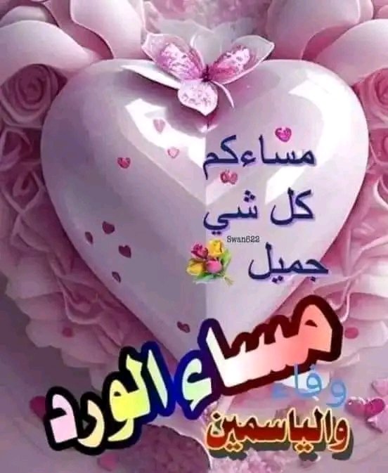 إختاروا من يختاركم في كل مرة .... ومرة🌺
إختاروا من يختاركم حبا ..... وكرامة ....
حرصا .... وخوفا  🌺
من يجعلكم من أول الأولويات والإهتمام 🌺
من يجبر خواطركم 🌺 ويشتري راحة 
بالكم ورضاكم  🌺
من يحبكم ♥️ كحبه لنفسة أو أكثر ♥️🌺

 🌺🍃 مساء الورد🍃🌺