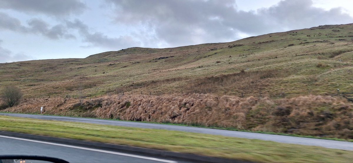 Getting more trees in our #Uplands is vital to help reduce flow of water running into our #rivers leading to floods. So many treeless hillsides today in <a href="/BannauB/">Bannau Brycheiniog (Brecon Beacons) National Park</a> Brecon Beacons NP.  Yet <a href="/WalesGov/">Gov Wales.</a> dropped 10% tree target today when it announced revised Sustainable Farm Scheme.