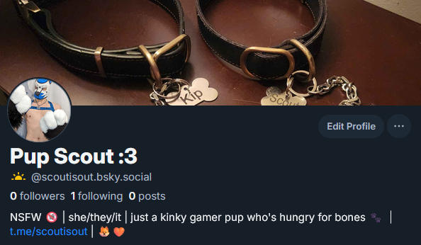 Puppy Scout (@thescoutisout) / Posts / X