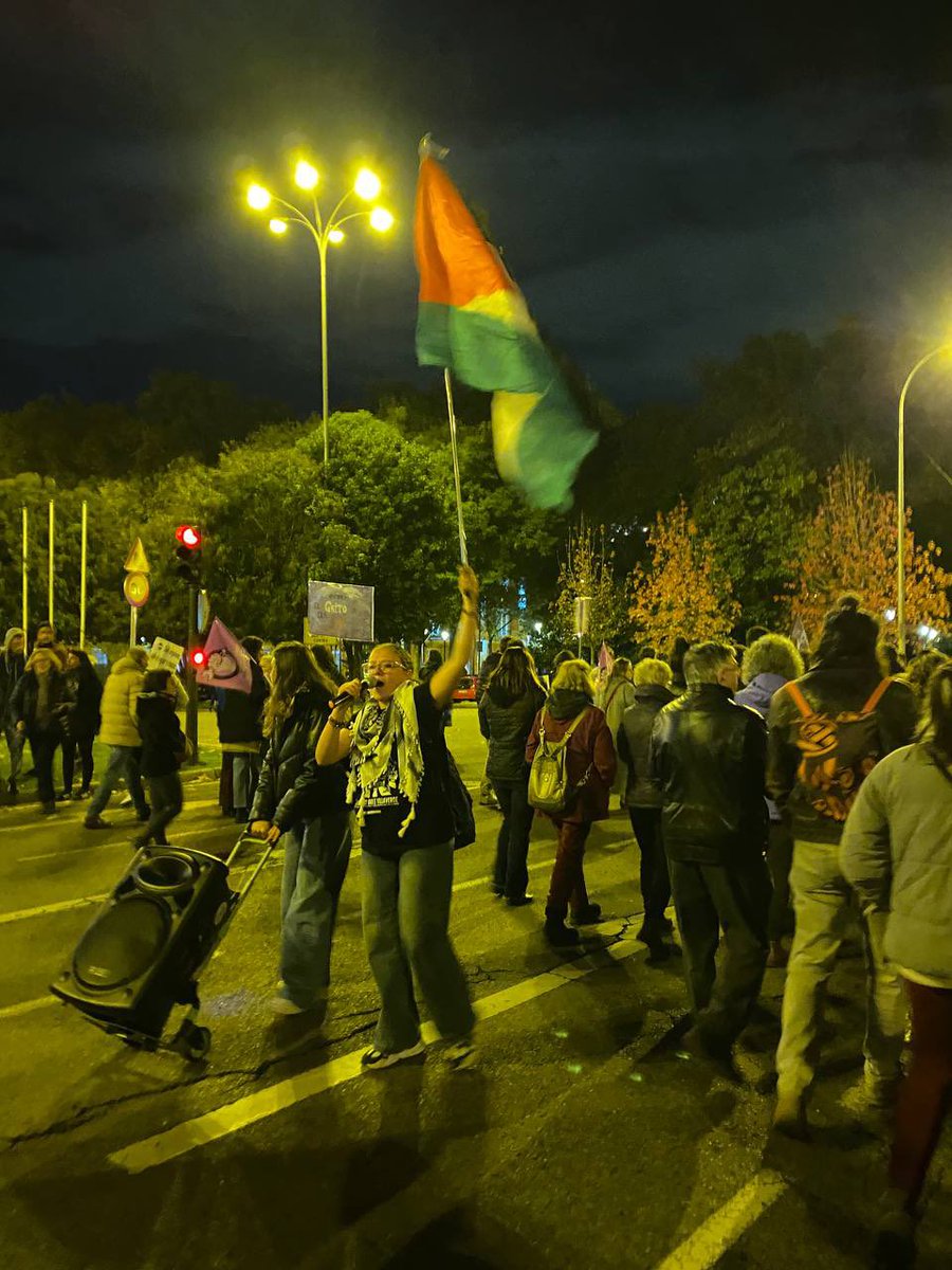 🟣Ya estamos marchando este #25N2024 contra las violencias del capitalismo patriarcal, la extrema derecha y el genocidio palestino.

🔥Por una lucha con las disidencias, antirracista, antiimperialista y socialista revolucionaria
#NiUnaMasNiUnaMenos