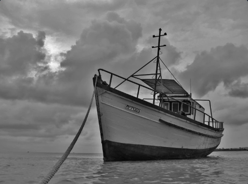 Gm #HBARbarians 🍄