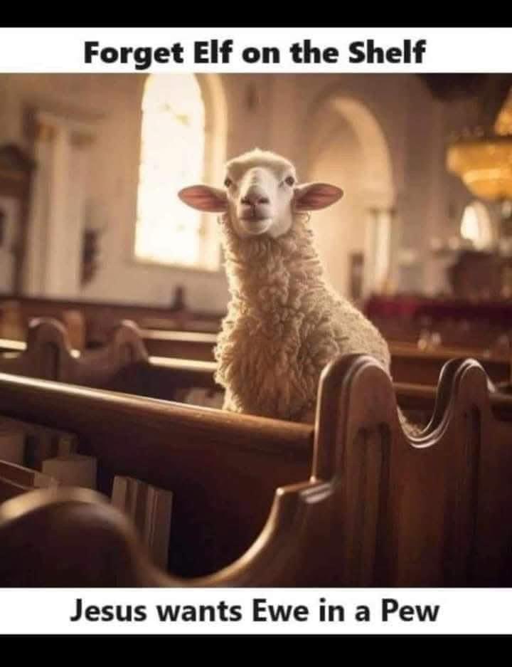 Go to #church 😊
#bethechurch #elfontheshelf