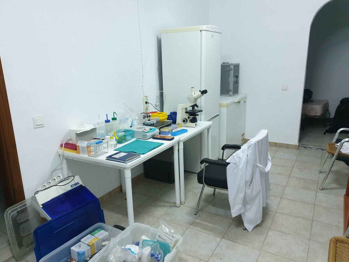 JulianSantiagoM's tweet photo. Laboratorio de campo en #Sedella listo para campaña demontaña en cabra montés en PN Tejeda Almijara. Gracias!Ayuntamiento de Sedella(Málaga) @SEDELLA_Natura @AxarquiaPlus por habilitarmos sitio para laboratorio en los últimos 24 años a https://t.co/yWAnaRAybj del @INIA_es https://t.co/umeNjg3Aqb
