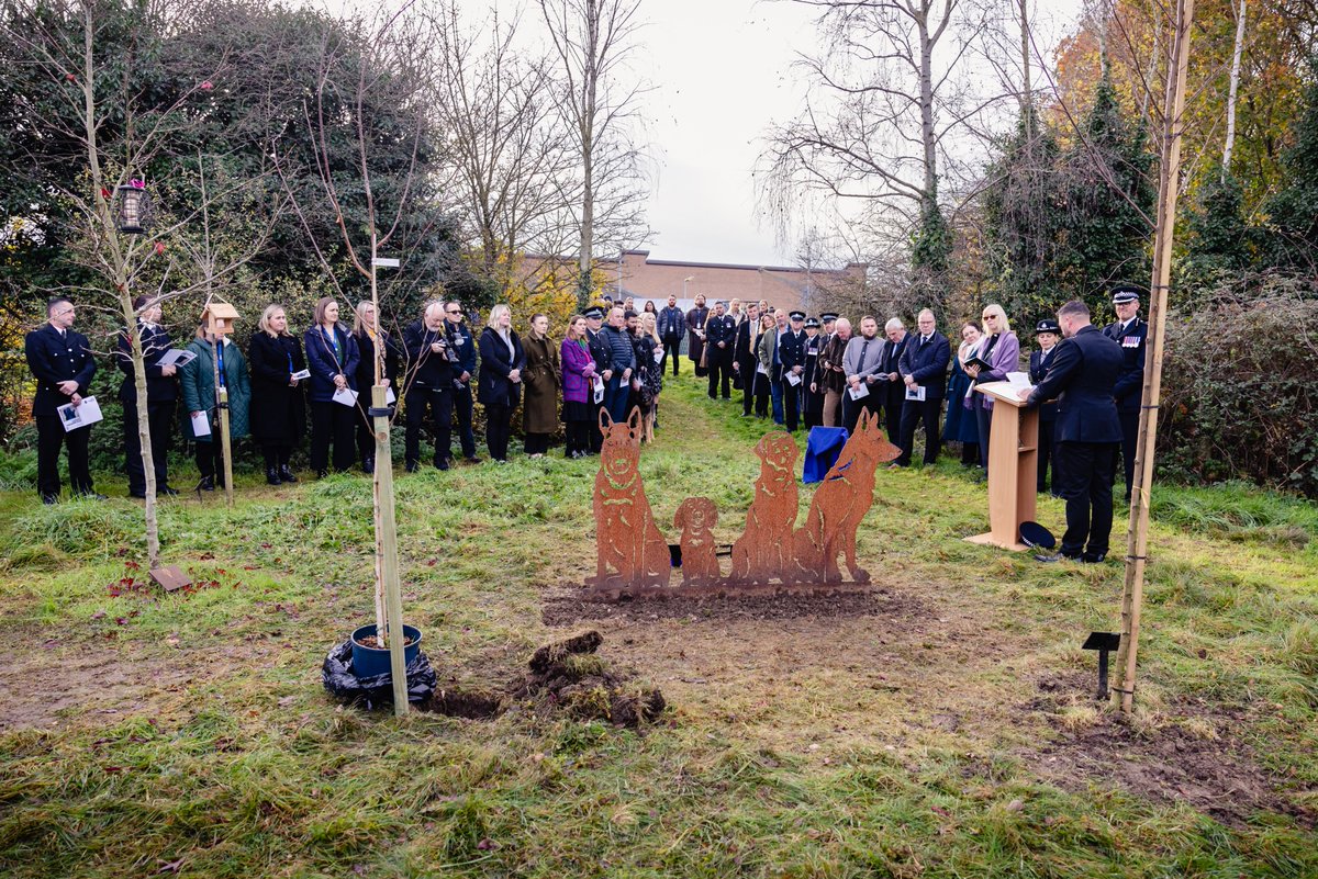 Humberside Police Memorial Service thanks to #thinbluepaw
 #ServiceDogs #SupportPoliceDogs #K9Hero #HumbersidePolice #PoliceMemorial #K9Heroes #PoliceDogs #ThinBlueLine #HeroicCanines #PoliceDogAppreciation #PoliceMemorialService