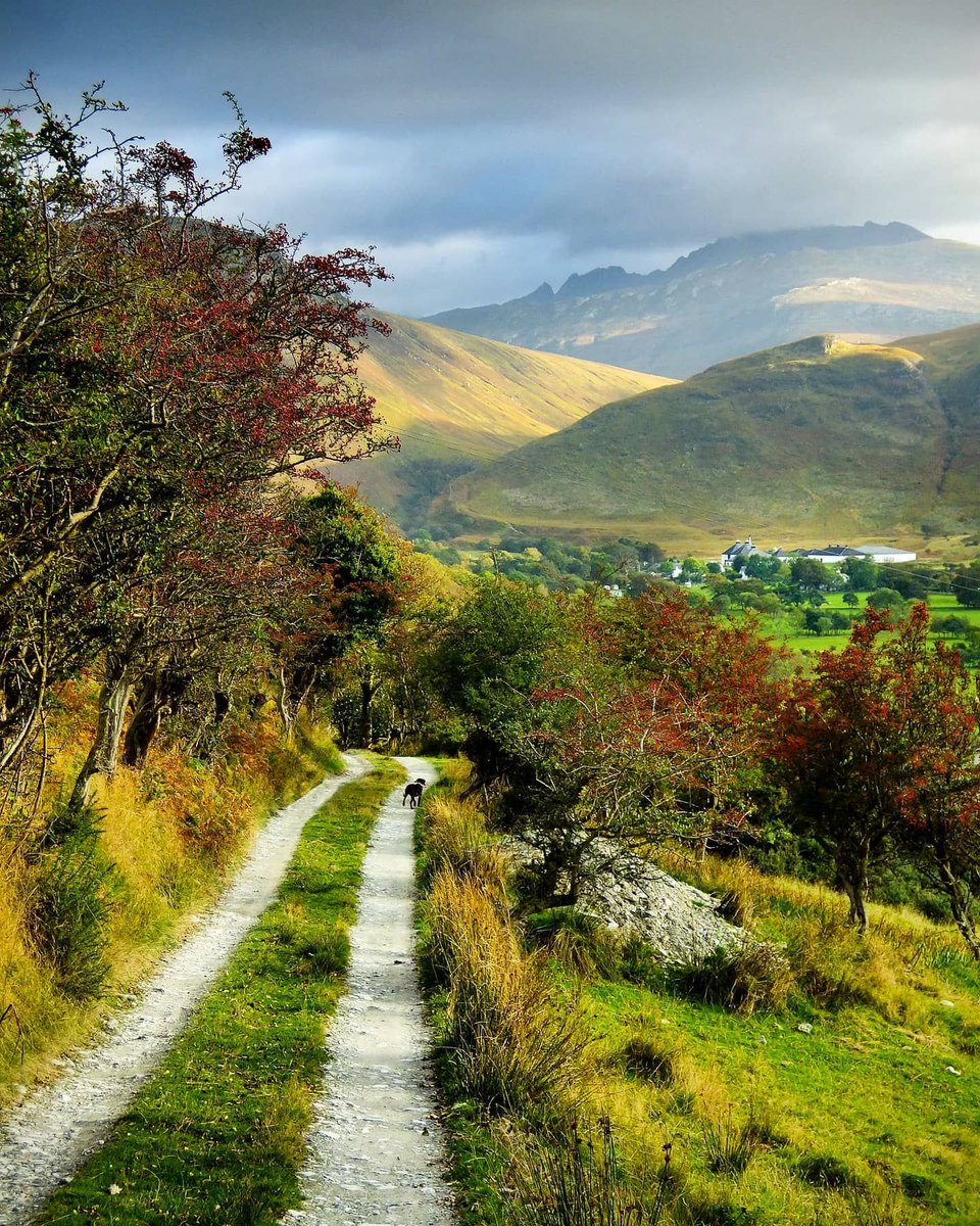 If ye could travel anywhere in #Scotland right now, where would ye go?! 👀💙

📍 Lochranza, @VisitArran 📷 IG/instasmithscape