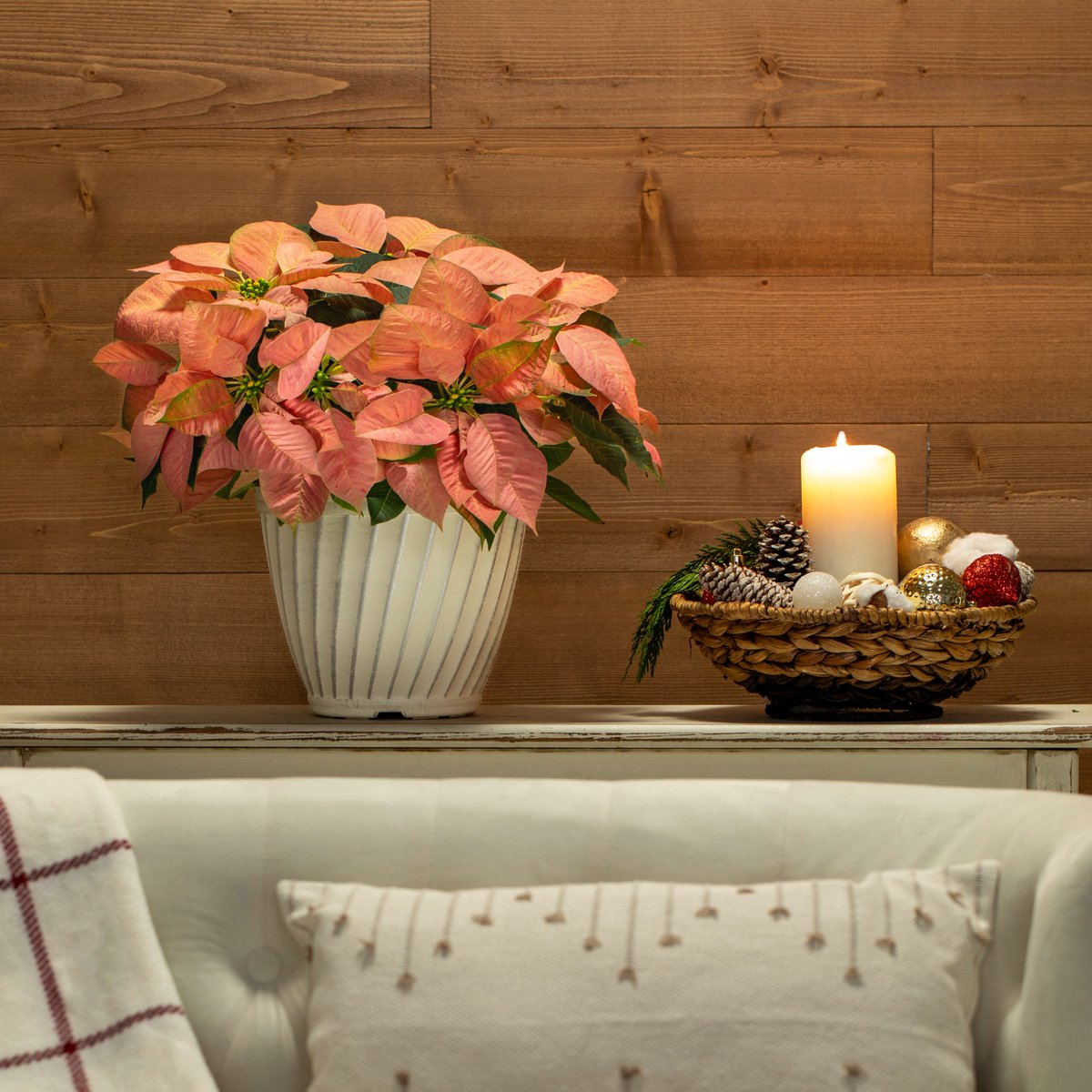 MetrolinaGreenhouses tweet media