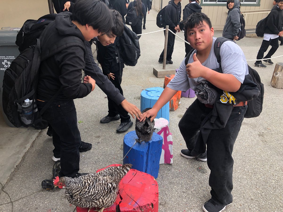 We had a turkey and two hens visit the Science Workshop last Friday.  Good to know where our food comes from!
#Toolsinyourhands
#STEM
#STEAM
#LearnByDoing
#SUHSDleads
#suhsdstrong