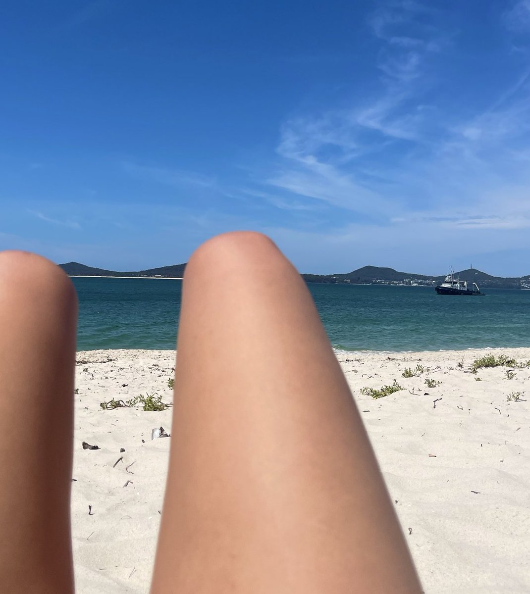 Tahlia j tweet media