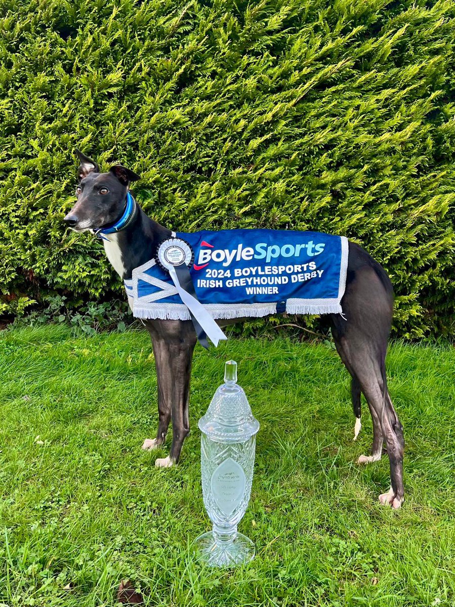 RiversideKenne's tweet photo. 🏆Bockos Diamond 🏆 https://t.co/04xzOZKTEq