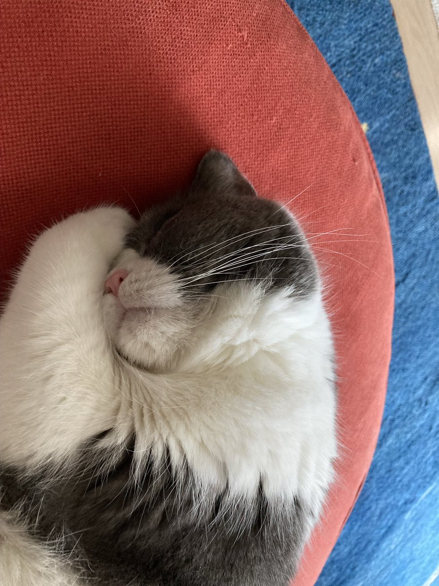 ぼく (@hi731013) on Twitter photo 