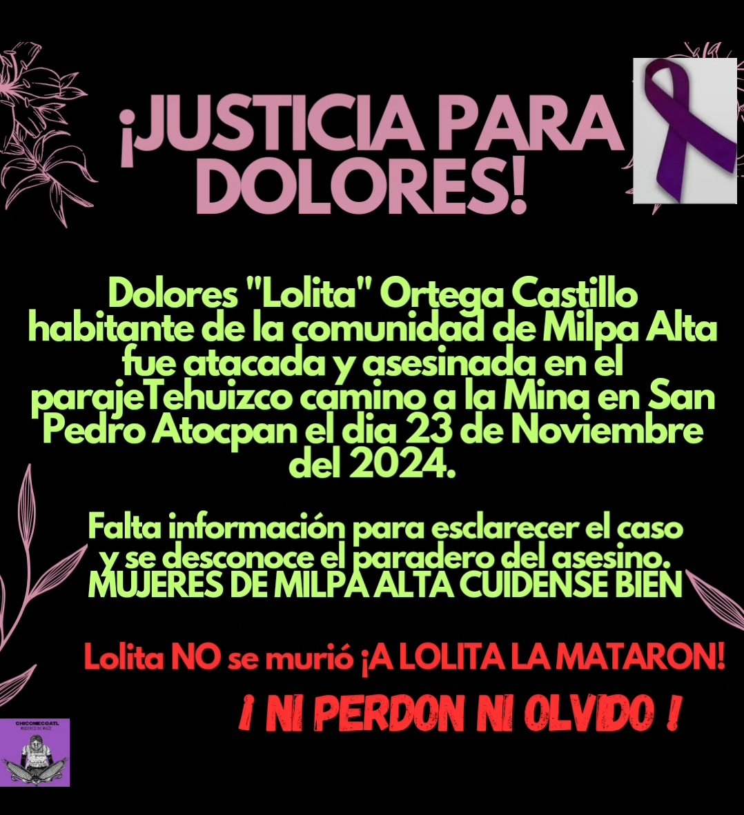 Mujeres de Maíz Milpa Alta- Chicomecoatl tweet media
