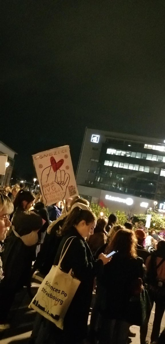 À Strasbourg 800 manifestant•es « Ouin Ouin Not all men but a lot quand même ! »  #25novembre2024