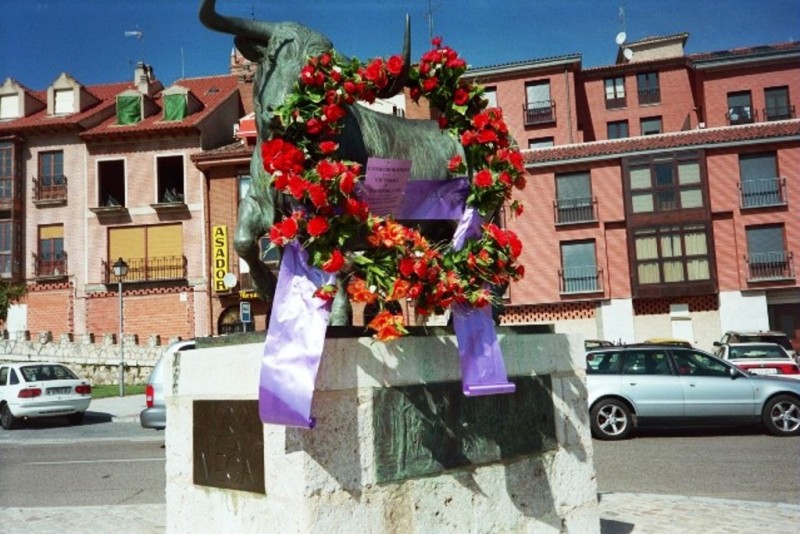 ACTYMA1's tweet image. ACTYMA) ha interpuesto una DENUNCIA contra el Ayuntamiento de Tordesillas por el FESTEJO DEL TORO DE LA VEGA 2024, por considerar este FESTEJO presuntamente ILEGAL sin adaptarse a lo establecido en el Artículo 6 del DECRETO 14/1999.