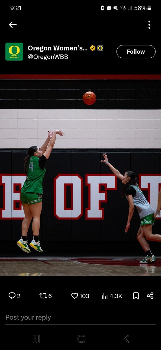 Red Raider Soul (@redraidersoul) on Twitter photo Don't miss the Hawaii North Shore Shootout hosted by <a href="/byuhawaii/">BYU–Hawaii</a> Featuring <a href="/OregonWBB/">Oregon Women’s Basketball</a> <a href="/GoDucksMoseley/">Rob Moseley</a> Don't miss the Hawaii North Shore Shootout hosted by <a href="/byuhawaii/">BYU–Hawaii</a> Featuring <a href="/OregonWBB/">Oregon Women’s Basketball</a> <a href="/GoDucksMoseley/">Rob Moseley</a>