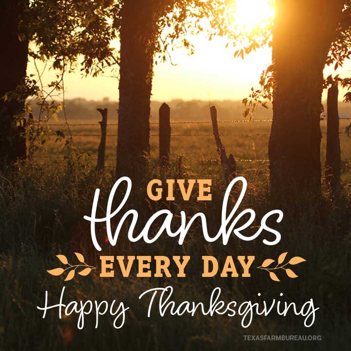 TexasFarmBureau's tweet photo. Give thanks every day. We hope y’all have a #HappyThanksgiving! https://t.co/zUMVRUPmeX