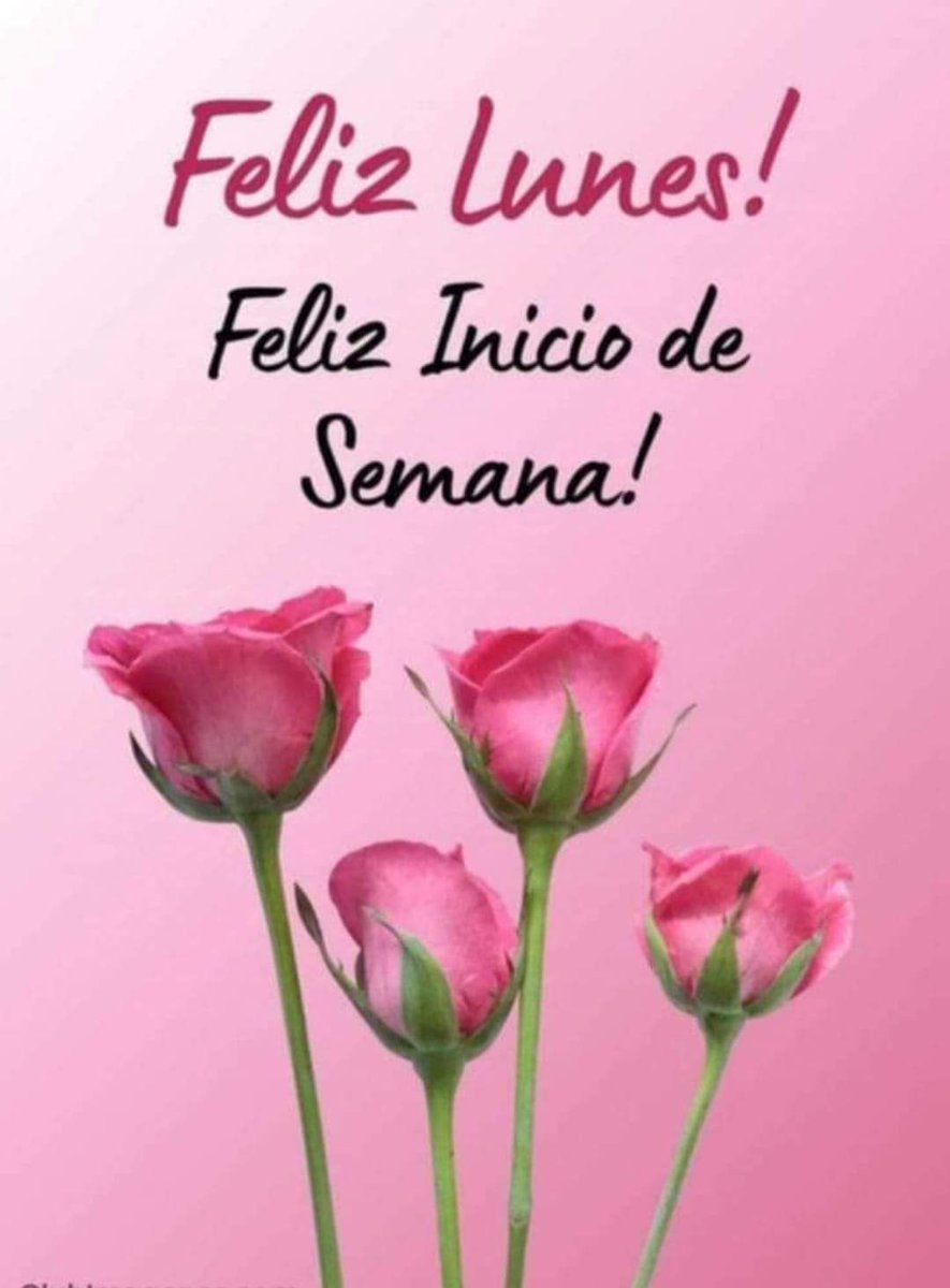 HigaredaLulu's tweet photo. 🌷🩷🌷🩷 linda tarde 🌷🩷🌷🩷🌷🩷🌷🩷🌷🩷🌷🩷🌷🩷🌷🩷🌷 https://t.co/Vn4sd3qFwI