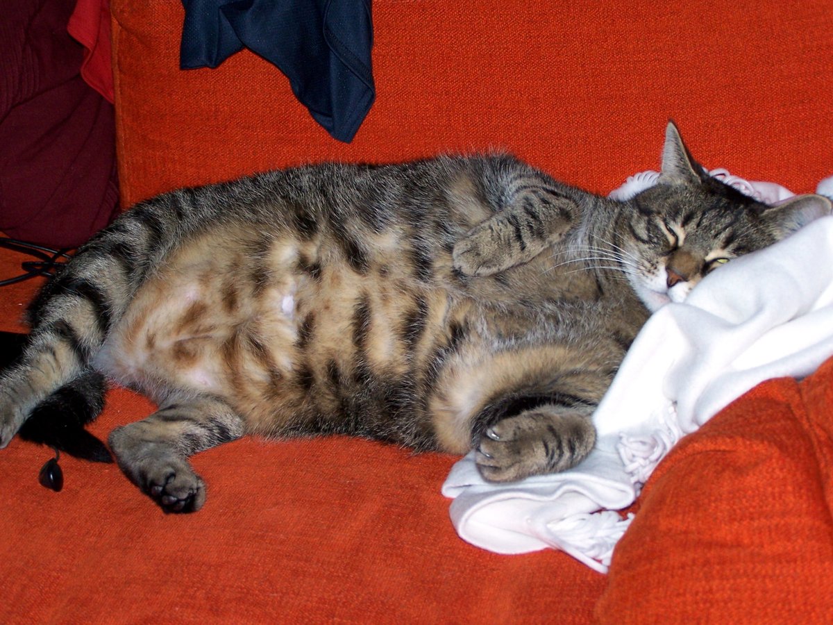 PILGRIM VOUS AIME POUR TOUJOURS 🚜 tweet media