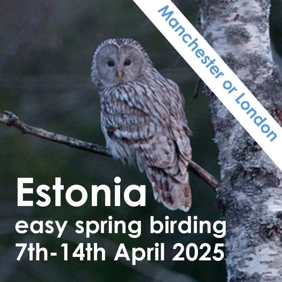 Wildlife Travel tweet media