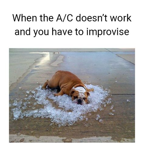 islandcomfortka's tweet image. When your A/C calls it quits, but you’re not ready to give up on staying cool ❄️. Don’t worry—skip the DIY ice beds and call us instead! We’ll have your air conditioning back in no time. 🛠️💨
#MemeMonday #StayCool #ACProblems #HotWeatherStruggles #KeepYourCool #HVACHeroes