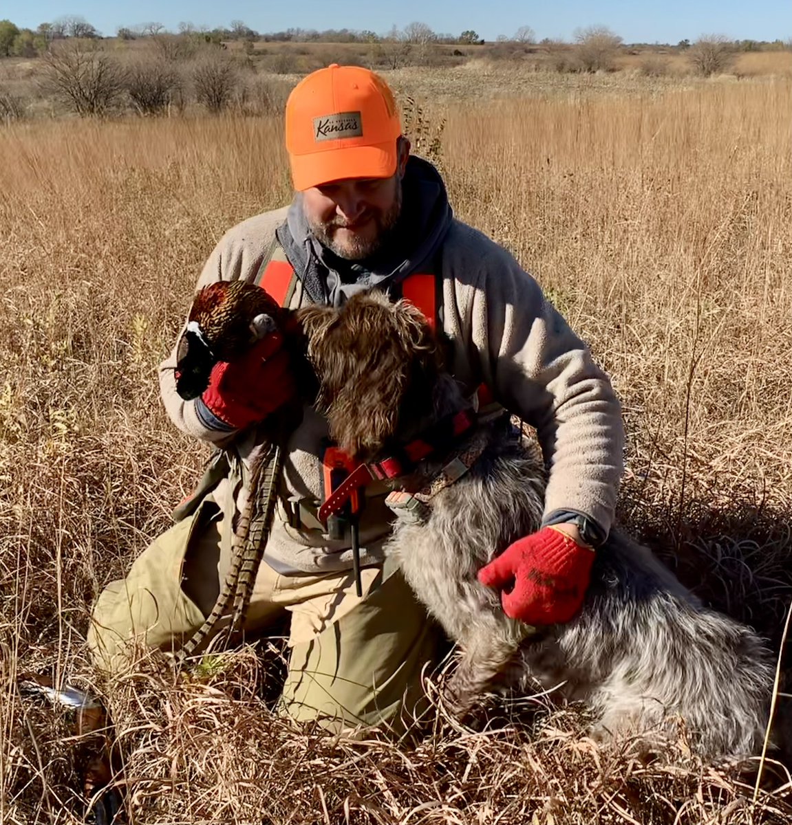 Miss Kansas got her first rooster!!

#BIRDDOG