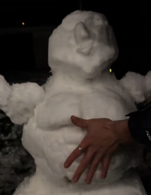 MEWING SNOWMAN tweet media