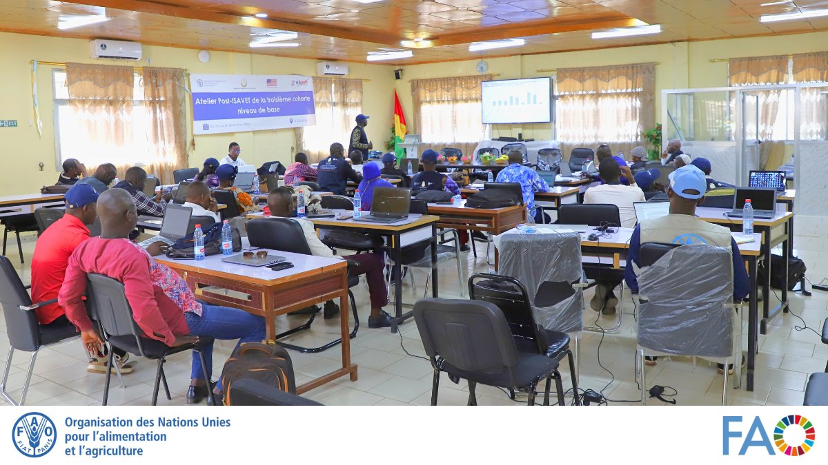 FAOGuinee's tweet photo. Démarrage à #Dalaba de l'atelier #Post_ISAVET 3è cohorte niveau de #base !
2⃣0⃣stagaires présentent leurs travaux de recherche sur le terrain pour passer la certification ISAVET, afin de renforcer la surveillance des maladies animales y compris les zoonoses. #Onehealth
🐄🐐🪿 https://t.co/3bsU3omKob