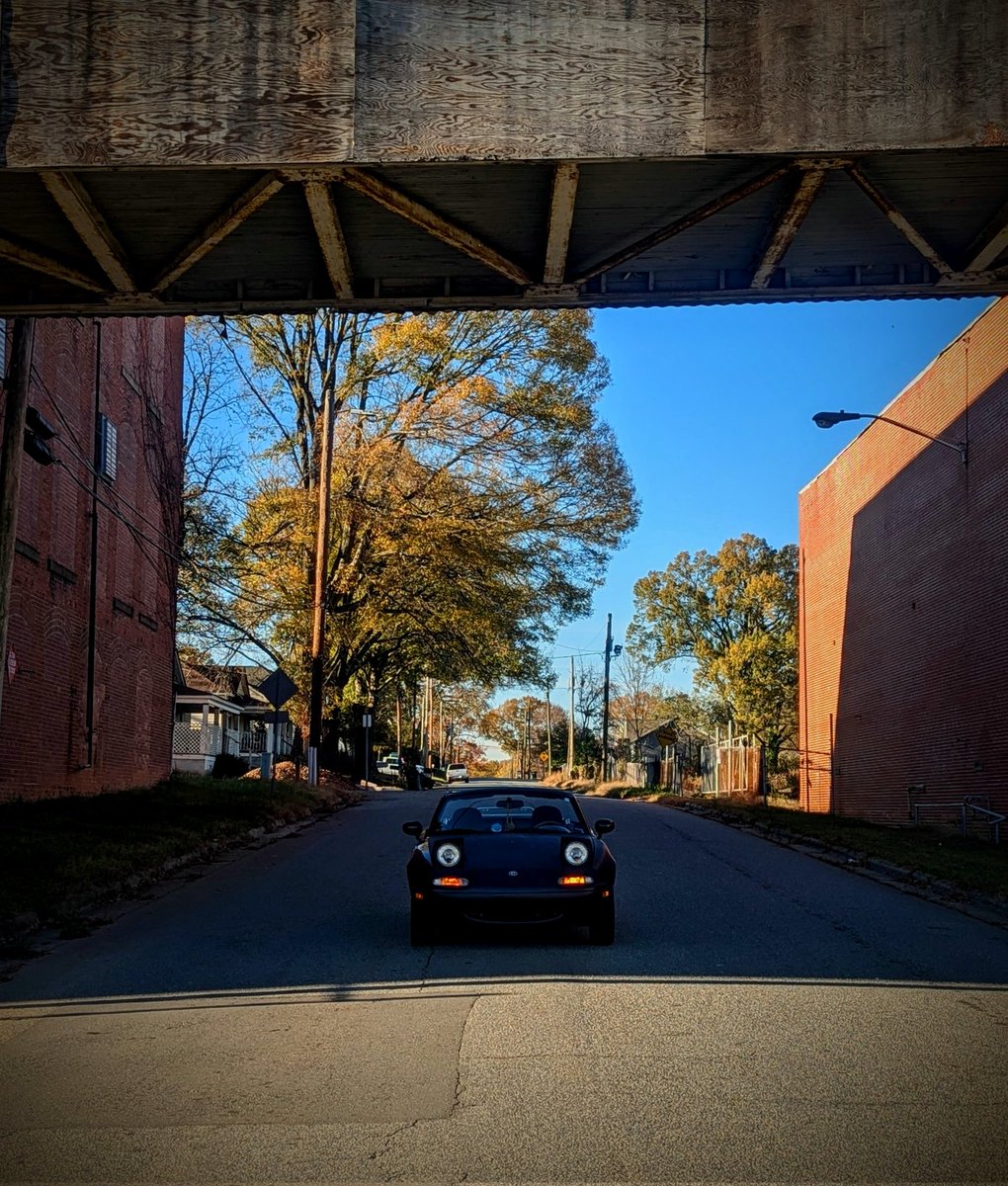 Menacing lil guy lurking in the shadows