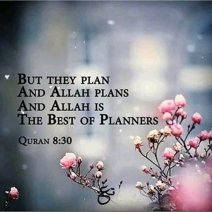 dilekcetweet's tweet photo. @AllahGreatQuran Exactly!! 🌺 Ya Allah!!
We need indead your mercy and help...
🌺🤲🌺🤲🌺
🇵🇸🇹🇷🇵🇸🇹🇷🇵🇸 https://t.co/miGjTwcjrQ