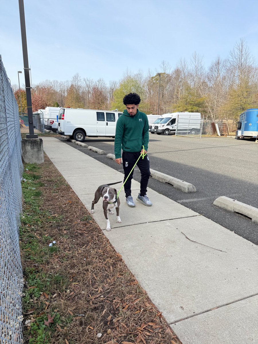 Heartwarming day at the animal shelter 🐾, sharing love and cuddles with some furry fiends who need it most!🐶🐱 There’s nothing like giving back to the community while making tails wag!🐕✨✨
#IapTerps