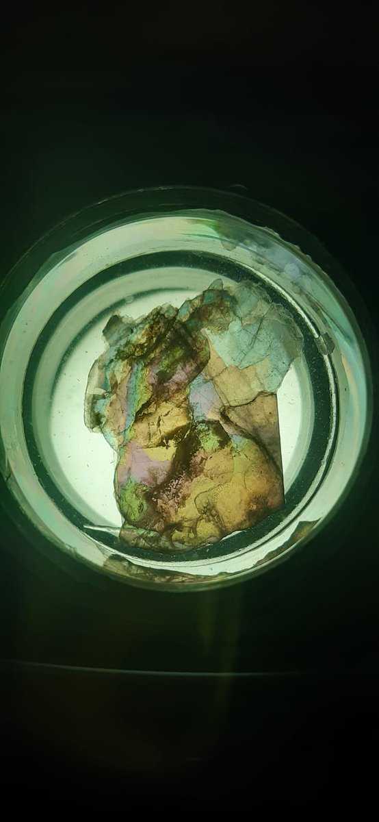 More muscovite in Coimbra.
