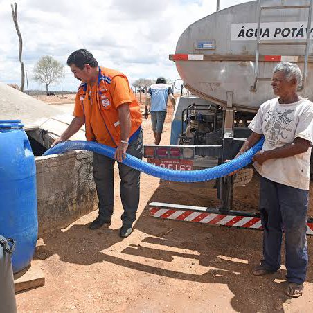 Chequei Ancap tweet media