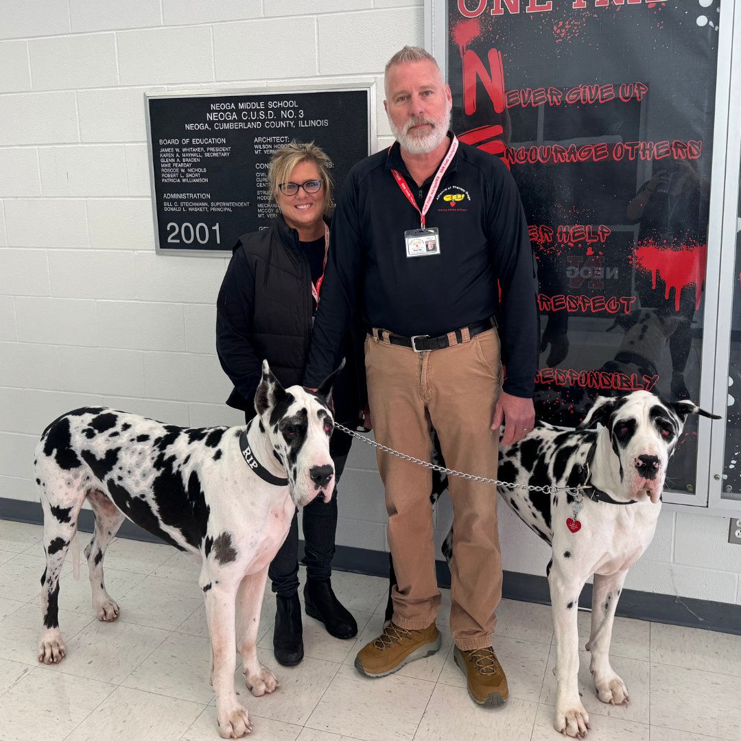 A huge thank you to Bryan and Wendy Pals for bringing their certified therapy Great Danes, Rip and River, to Neoga Elementary! These gentle giants brought so much joy and started our students' day with big smiles. 🐾💙 #NeogaElementary #TherapyDogs #GreatDanes #MakingADifference