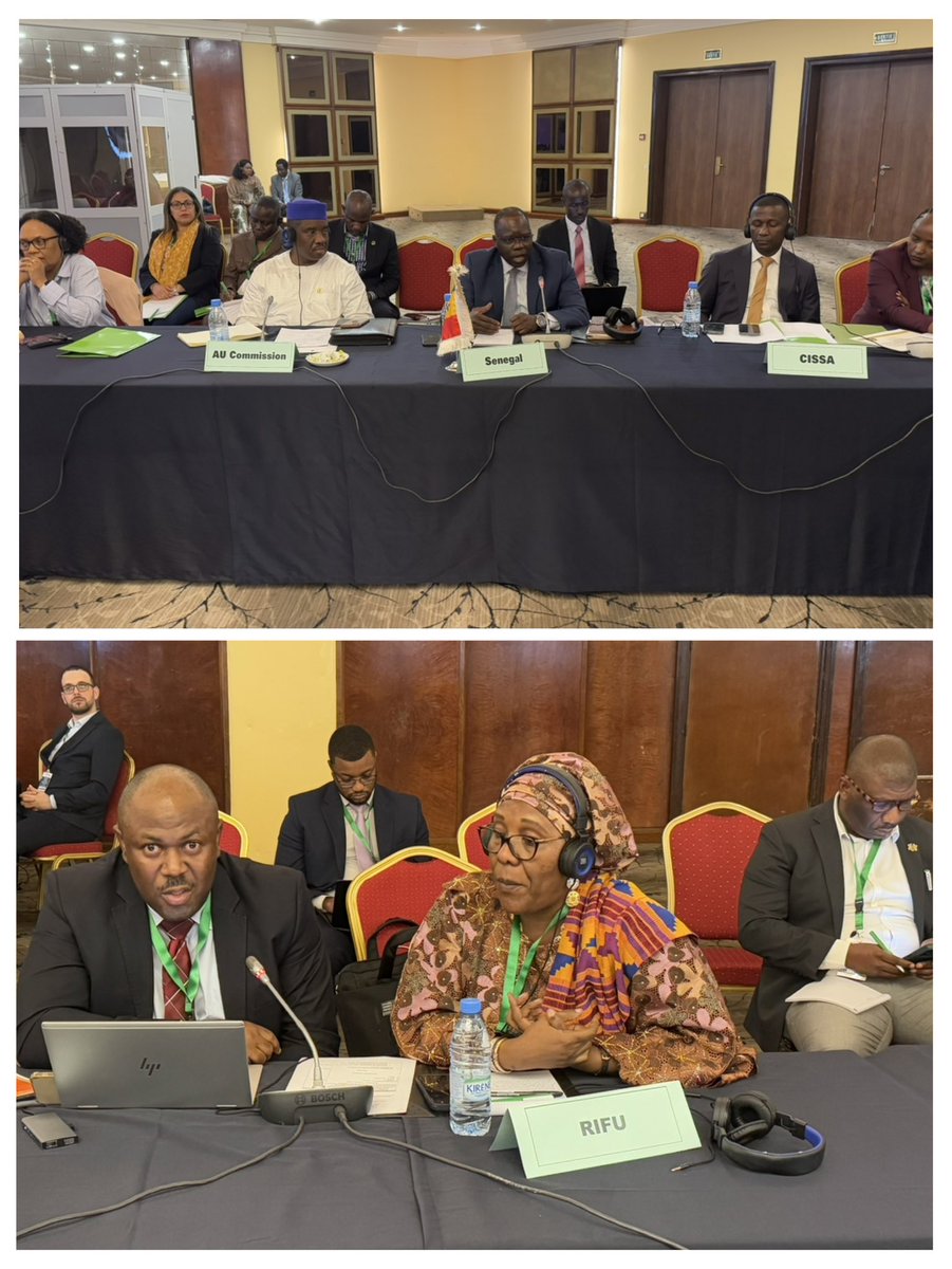 AUC_PAPS's tweet photo. Setting the scene on terrorism & insurgency in the Sahel-Sahara. Presenters: @ecowas_cedeao, Committee of Intelligence & Security Services of Africa #CISSA, @AUCTCentre, Fusion & Liaison Unit #UFL & Regional Intelligence Fusion Unit #RIFU.Moderator @SarjohBah3. #NouakchottProcess https://t.co/TtG7ku6hbT