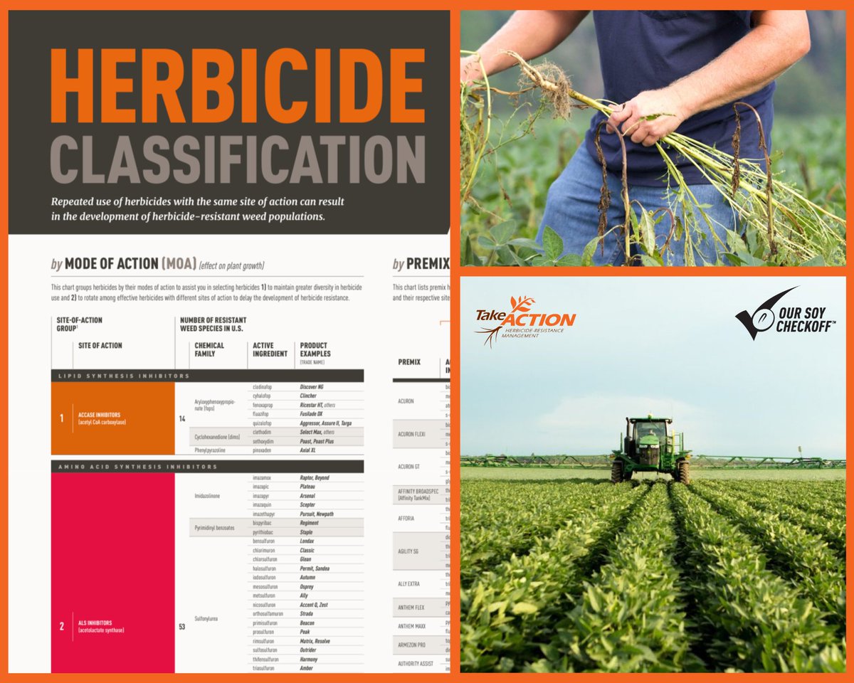 GROW.IWM (@getridofweeds) on Twitter photo Take Action’s Herbicide Classification chart is updated & ready for the 2025 season!
This valuable resource from <a href="/UnitedSoy/">United Soybean Board</a> lists the sites of action of the many commercially available herbicide products.
Download or order print versions here: iwilltakeaction.com/resources Take Action’s Herbicide Classification chart is updated & ready for the 2025 season!
This valuable resource from <a href="/UnitedSoy/">United Soybean Board</a> lists the sites of action of the many commercially available herbicide products.
Download or order print versions here: iwilltakeaction.com/resources