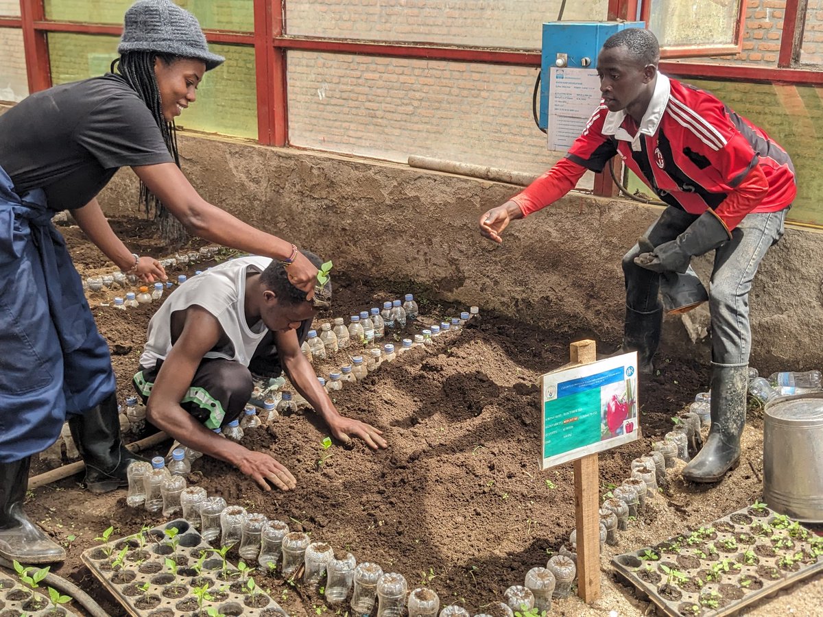 We continue our journey of cultivating 
Sweet pepper 
<a href="/Farm/">Farm 🌾</a>
<a href="/to/">trevor.btc</a>
<a href="/Table/">The Table</a>
