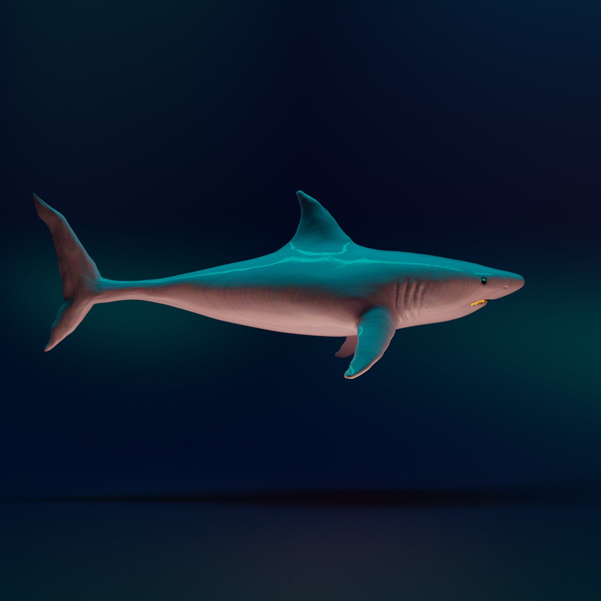 NatureRepsnft's tweet photo. SHARKS FROM SIDE TO SIDE!!!!
#NFTSharks #SharkNFT #NFTArt #SharkArt #CryptoSharks #SharkCollectibles #NFTCommunity #NFTDrop #SharkDesign #SharkIllustration #DigitalArt #NFTCollection #CryptoArt #SharkNFTs #SharkCrypto https://t.co/HlN1PfNk7p