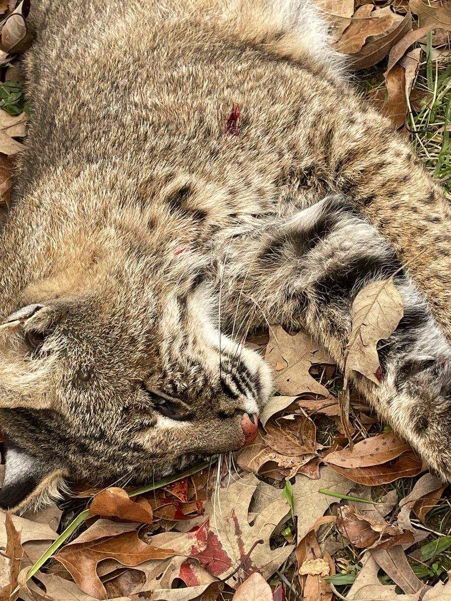 Busted his ass 😁😁😁