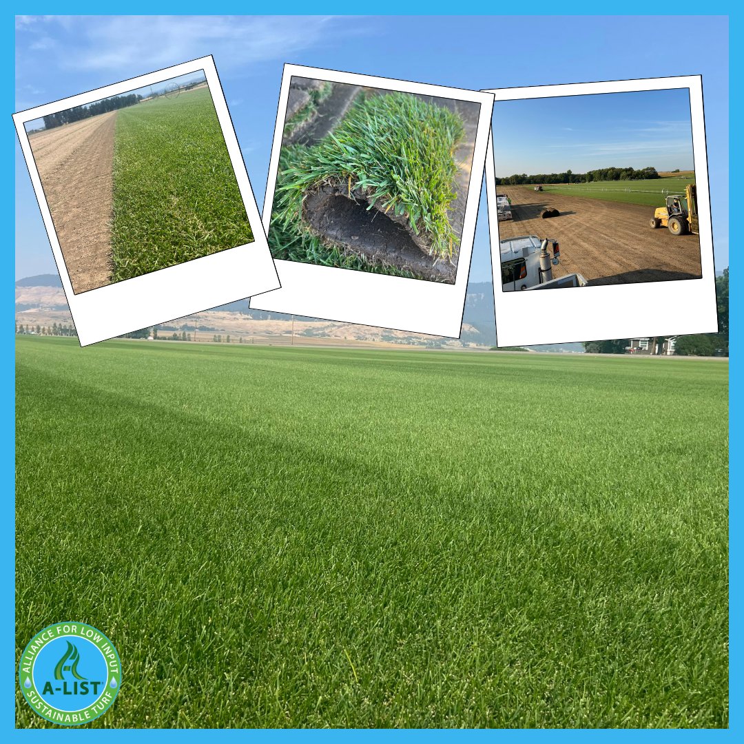 The A-LIST tweet media