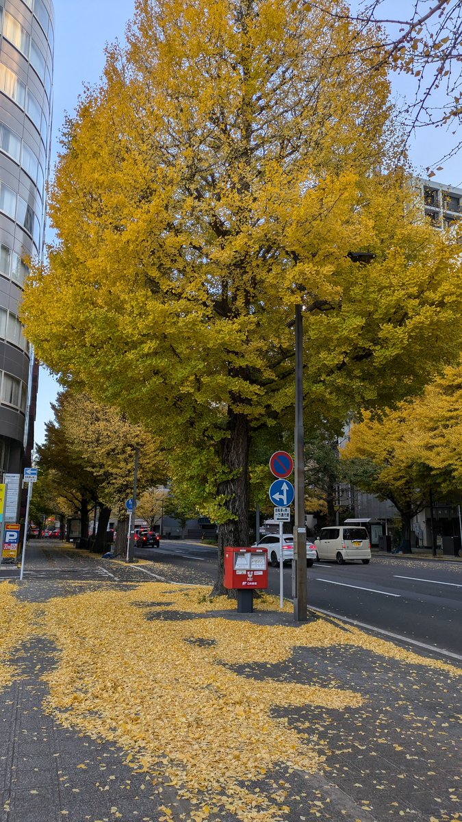 yokan113's tweet photo. Autumn is coming to an end. https://t.co/beIF9vZCHA
