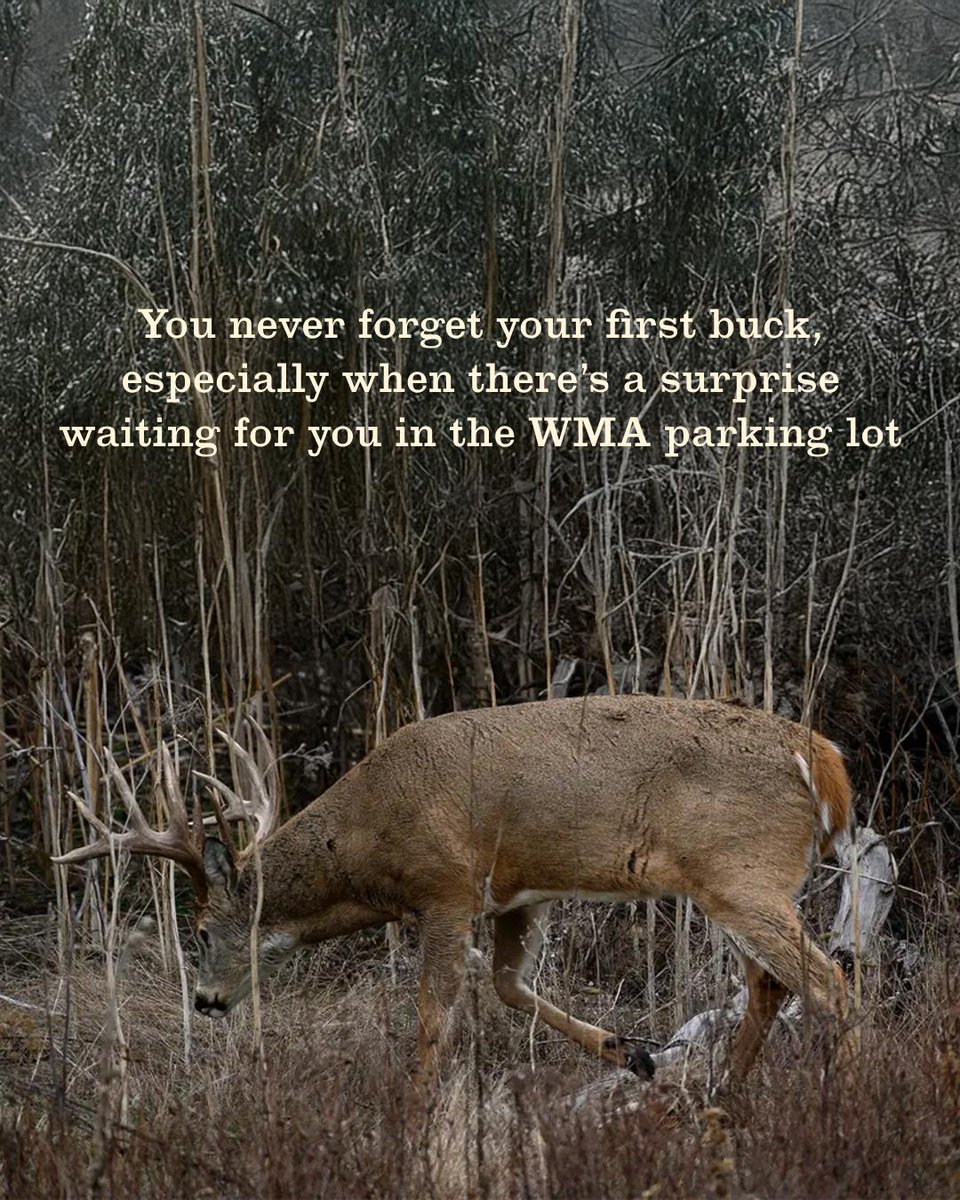 FieldandStream's tweet photo. You never forget your first buck, especially when there’s a surprise waiting for you in the WMA parking lot.
Read the full story - https://t.co/ND6SRvcARO 🦌
#TheLegendLives #MyFirstBuck #DeerHunting https://t.co/8LItewkp8g